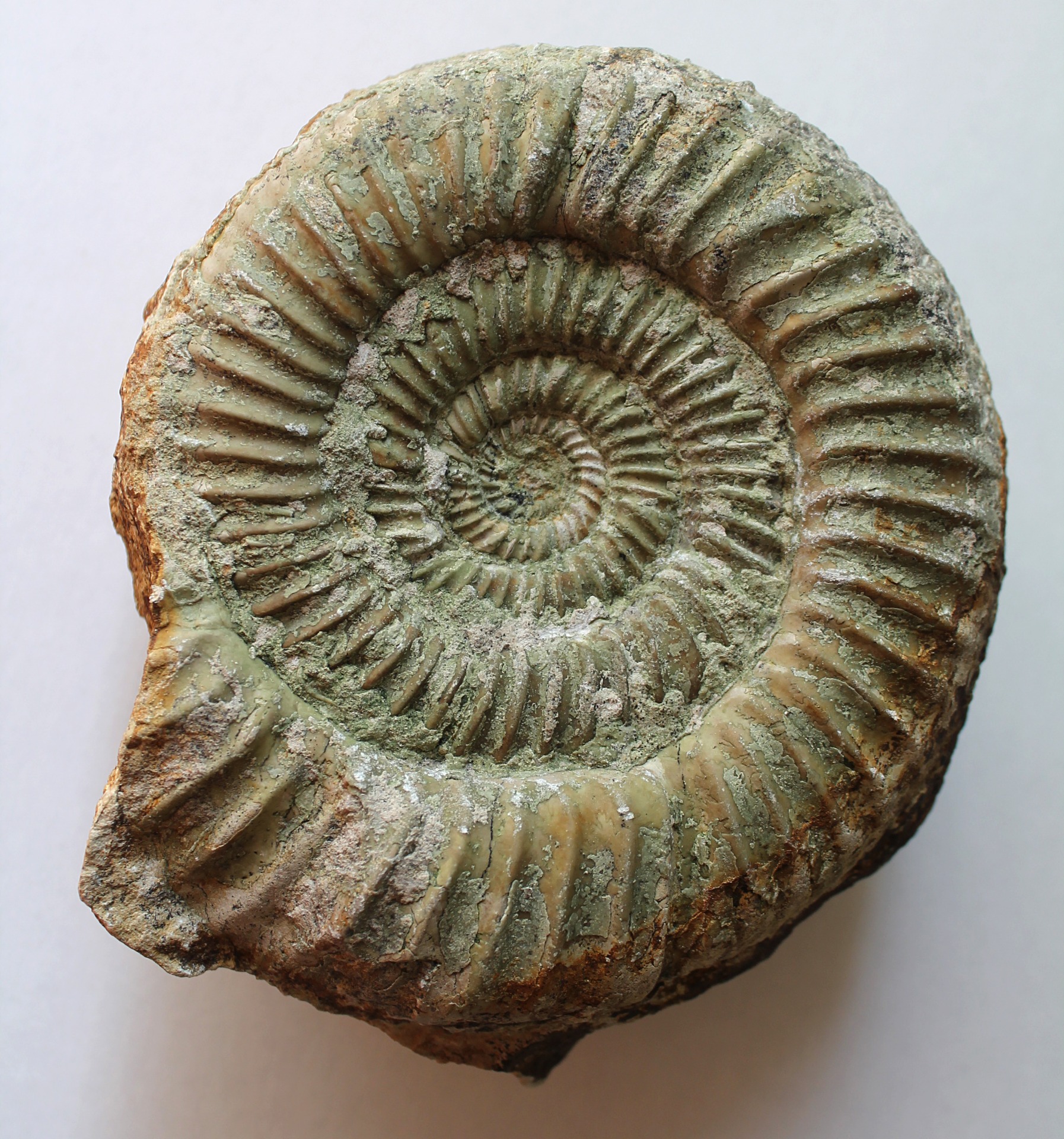 ALMA-LS-TOP - FOSSIL